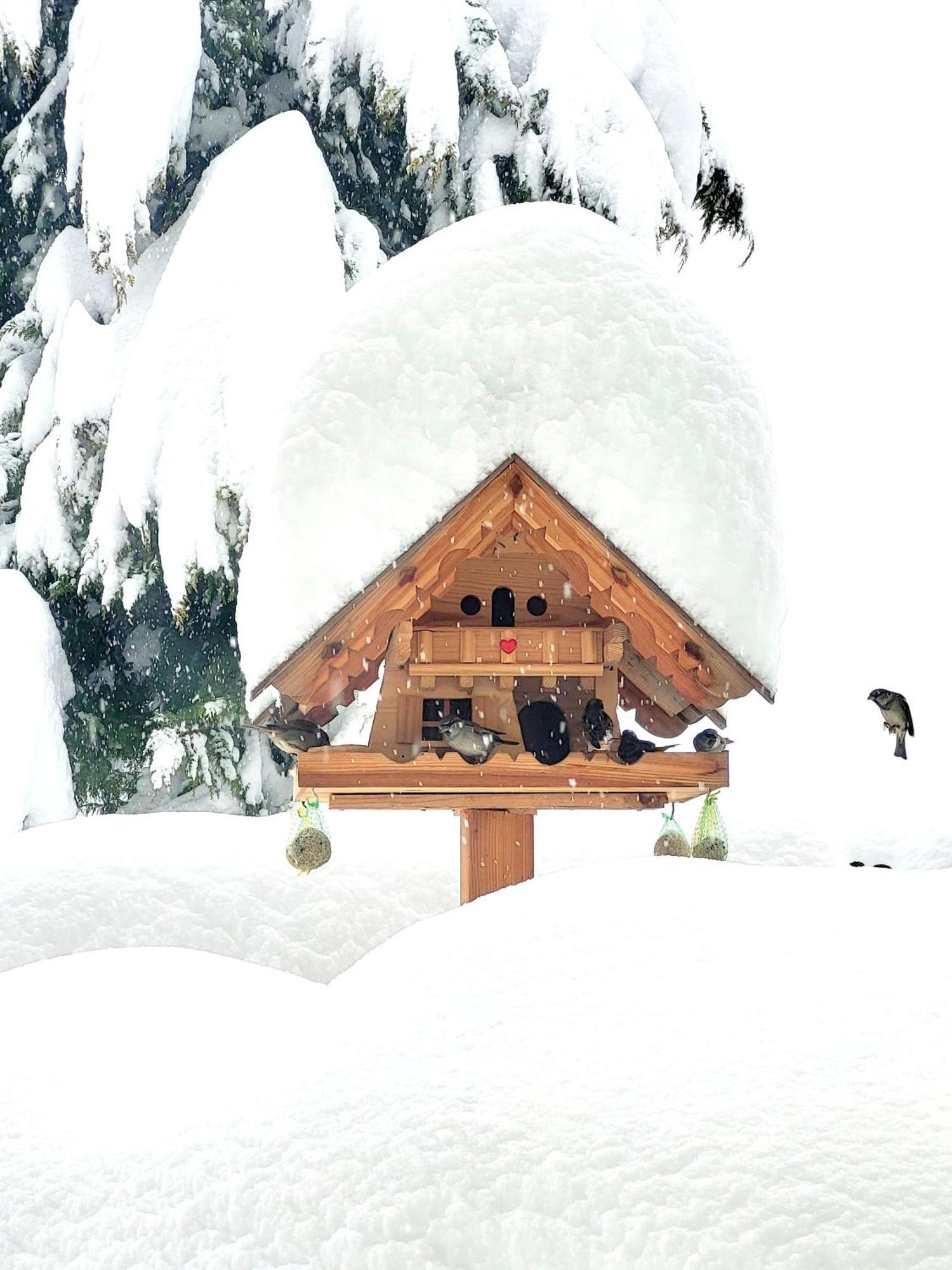Gaestehaus Herma Ramsau am Dachstein Esterno foto