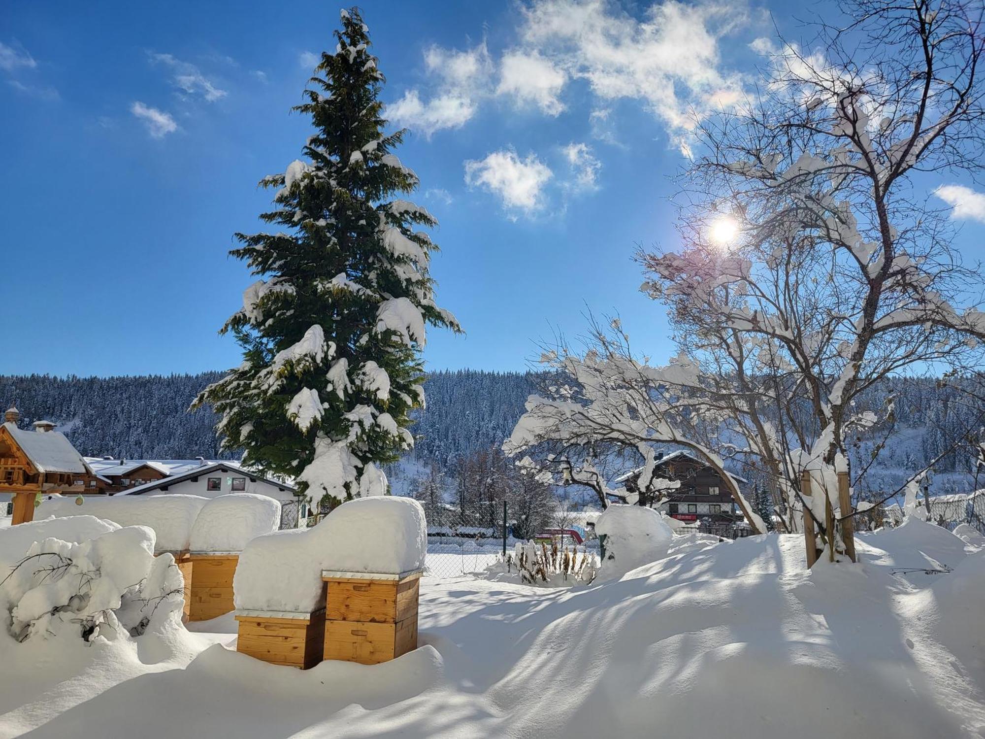Gaestehaus Herma Ramsau am Dachstein Esterno foto