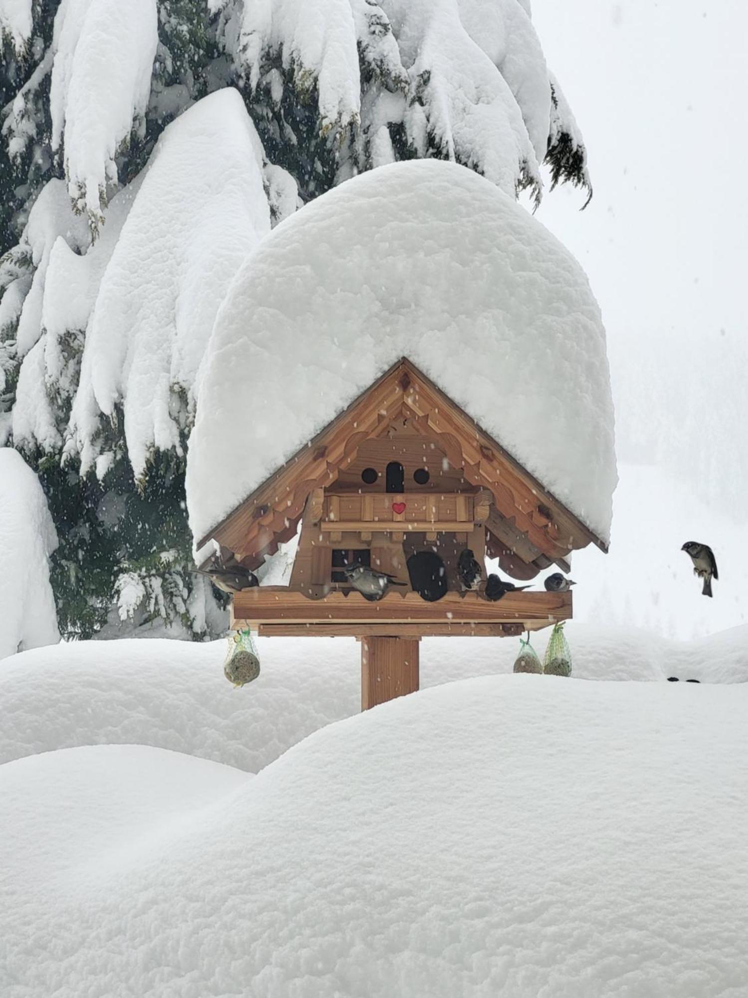Gaestehaus Herma Ramsau am Dachstein Esterno foto