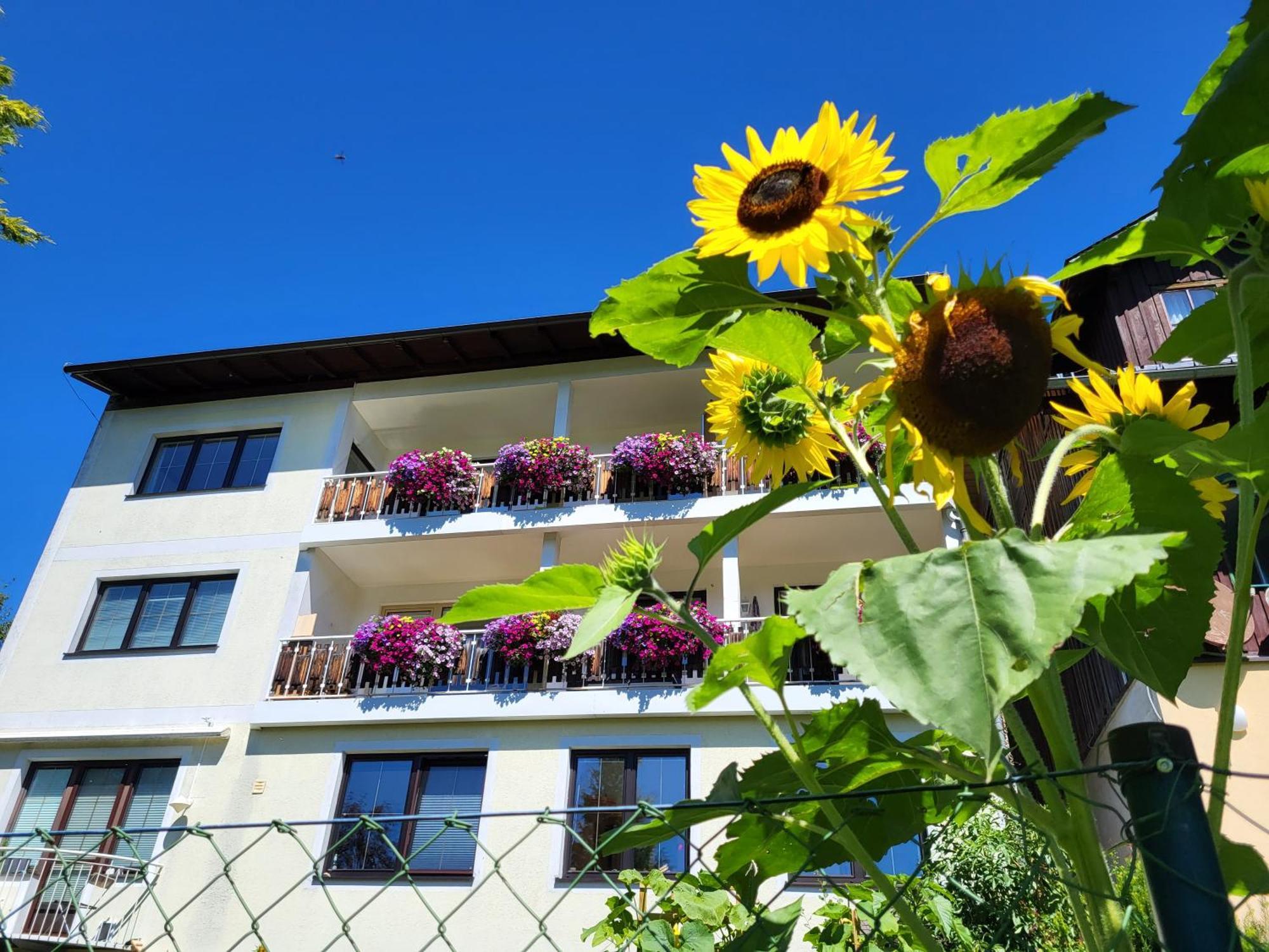 Gaestehaus Herma Ramsau am Dachstein Esterno foto