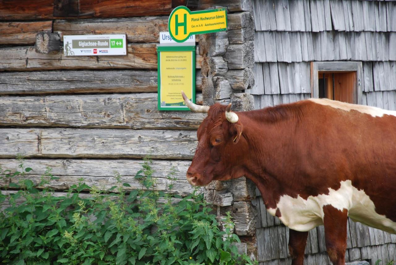 Gaestehaus Herma Ramsau am Dachstein Esterno foto
