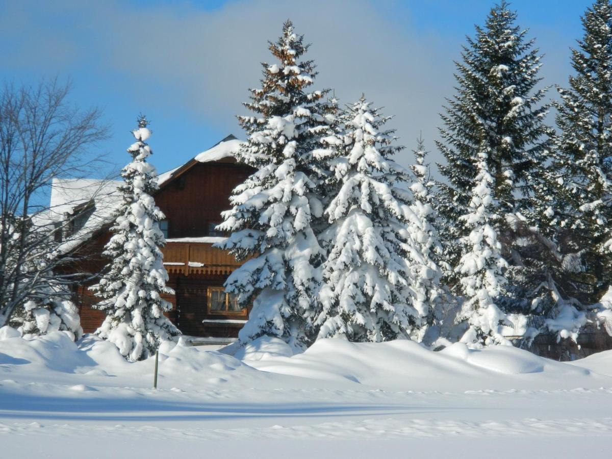 Gaestehaus Herma Ramsau am Dachstein Esterno foto